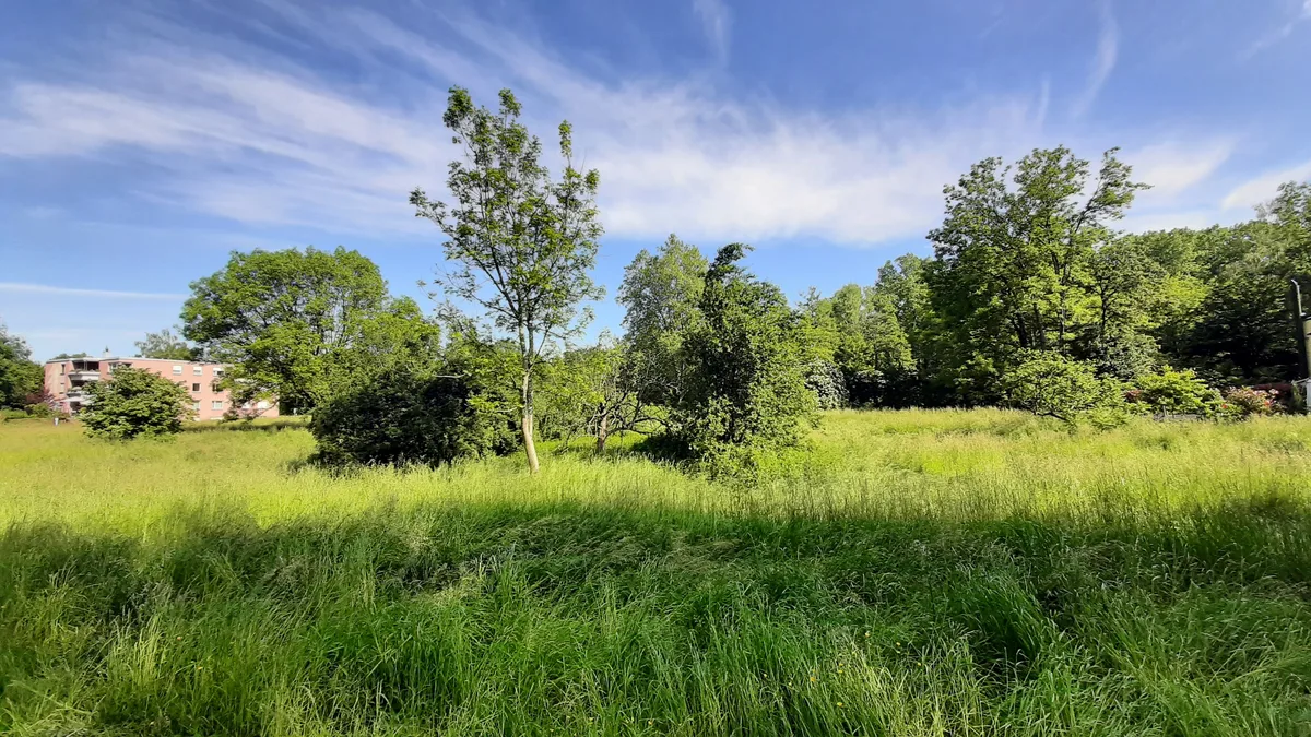 Wiese, Acker und ein Wäldchen innerhalb eines Wohnquartiers.